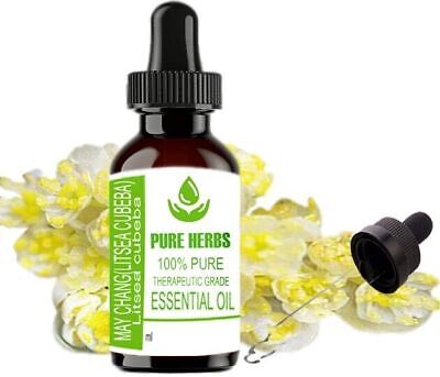 Pure Herbs May Chang 100% Puro y Natural Litsea cubeba Aceite Esencial