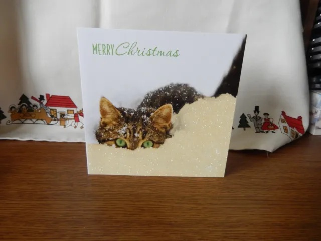 Christmas Card Tabby Cat in the Snow Glittery