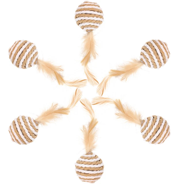 6 Pcs Teasing Toy Pet House Cat Indoor Cat Toys Kitten Toys Cat Scratching Post