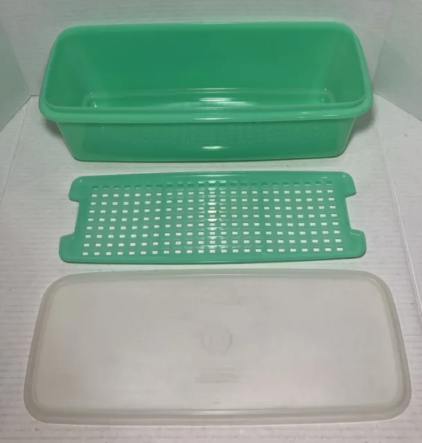 VTG Tupperware Rectangle Jadite 3 Piece Celery Vegetable Keeper 782-5 Complete