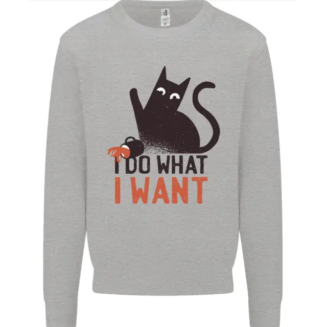 I Do What I Want Funny Cat Mens Sweatshirt Jumper