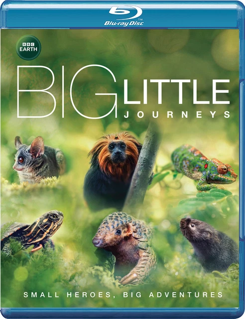 Big Little Journeys (Blu-ray) Aaron Pierre (PRESALE 18/12/2023)