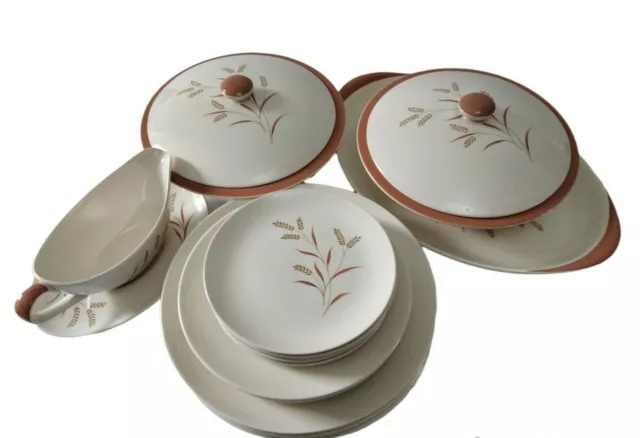 Royal Doulton Meadow Glow D6443 Dinner Set 25 Pieces Platter/Plates/Tureens For6