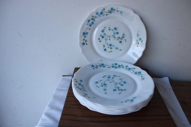 Lot De 6 Assiettes à Dessert Arcopal – Modèle Myosotis Veronica (occasion, Très Bon état)