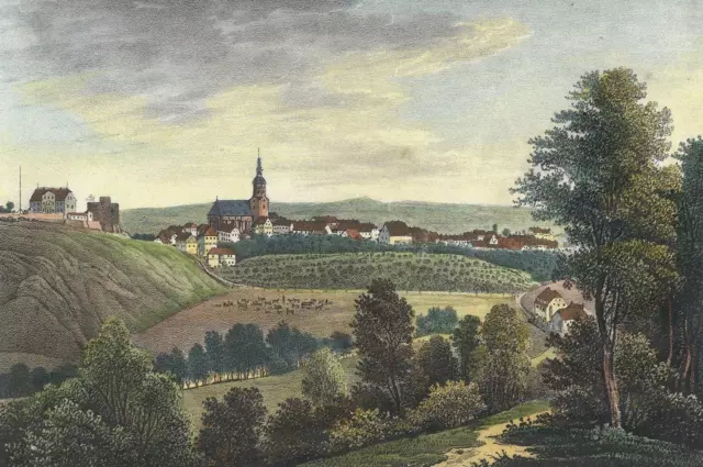 DOHNA - Gesamtansicht - Saxonia - kol. Lithographie um 1840