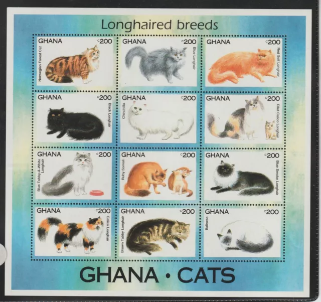 Ghana 1994 Fauna Katzen 1° Serie Neu MNH MF120344