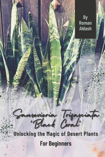 Sansevieria Trifasciata Black Coral hydrocultuur eenvoudig en snel online bestellen