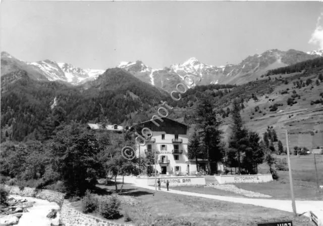 Cartolina - Postcard - Pejo Terme - Albergo Alpino - 1962