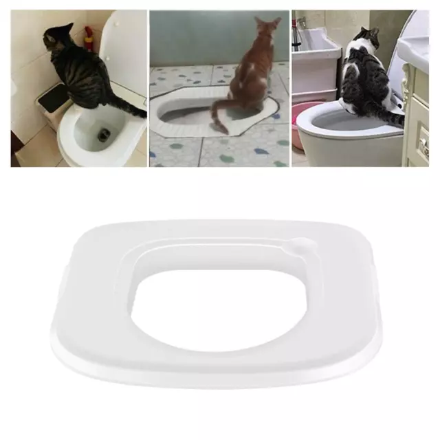 Cat Toilet Training  Professional Cat Toilet Trainer for Home Cleaning