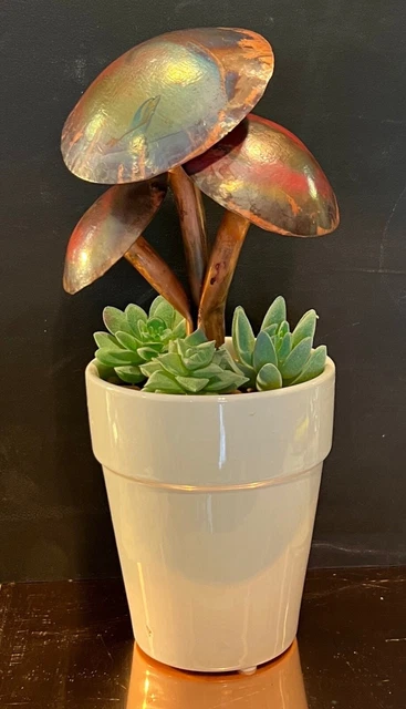 Handcrafted Solid Copper Flower Pot Mushroom Cluster. Inspired by Nature.