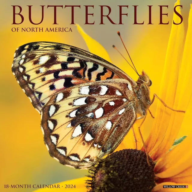 Farfalle - 2024 Calendario da Parete - Nuovo - 32756