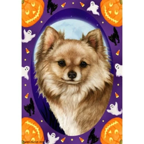 Halloween Garden Flag - Longhaired Cream Chihuahua 121451