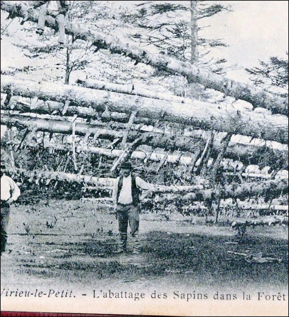 Ain Virieu-Le-Petit 1904 Forestier Bucheron Forêt Arviere Carte Postale Ancienne