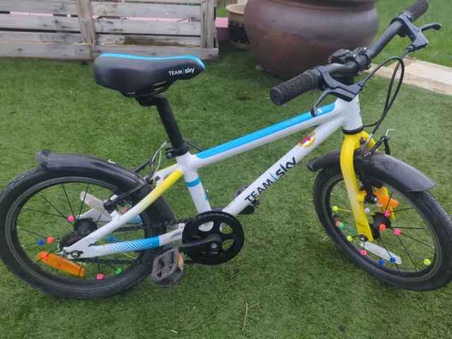 Frog 48 team sky cheap