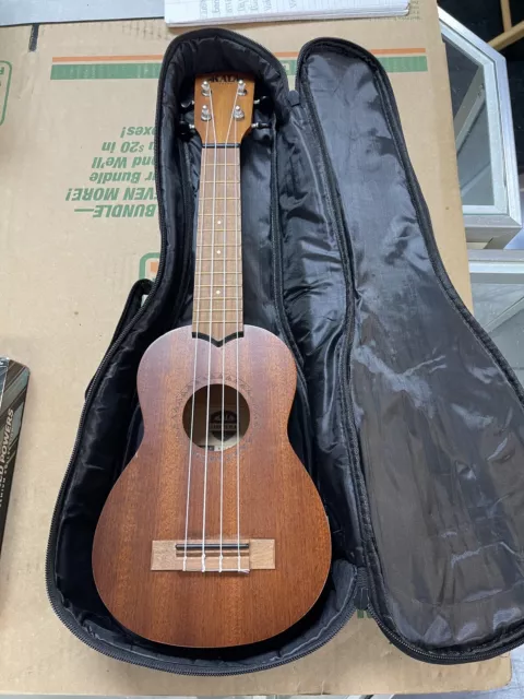 Ukulele With Carrying Case