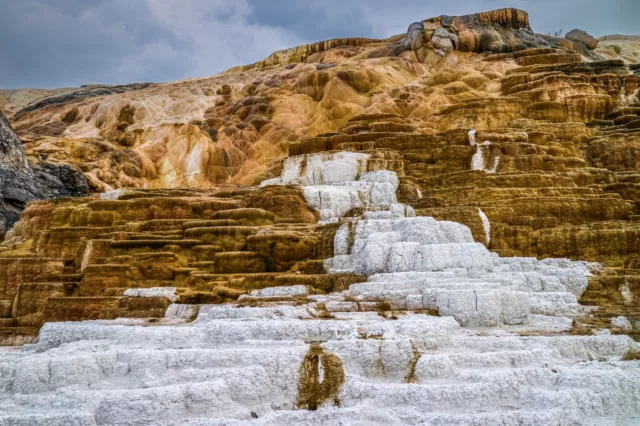 Steaming Splendor: Mammoth Hot Springs Wall Yellowstone Metal Canvas Print