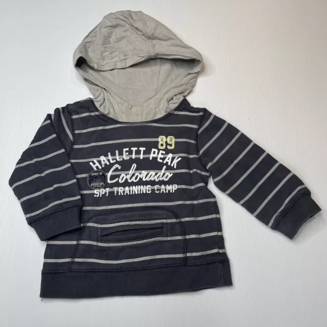 Boys size 2, Sprout, fleece lined cotton hoodie sweater, wash fade, FUC