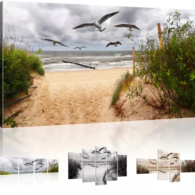 Bild auf Leinwand Strand Wandbild Meer Kunstdruck Natur Leinwandbild Sommer