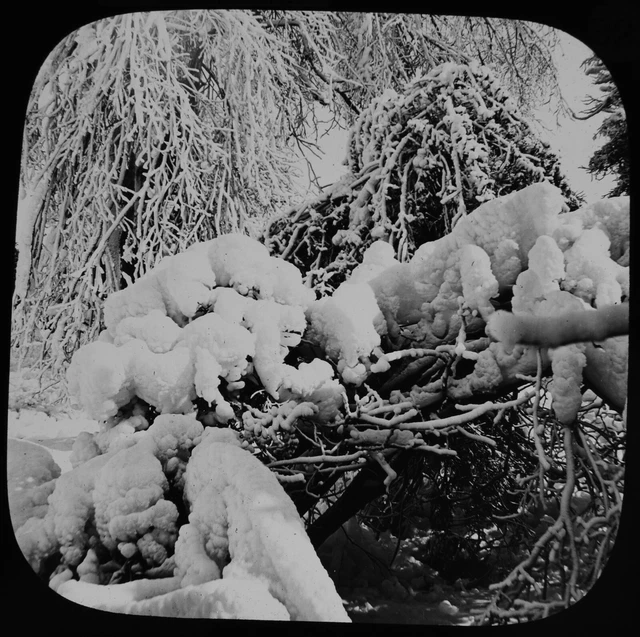 ANTIQUE Magic Lantern Slide NIAGARA FALLS FROZEN SPRAY C1888 VICTORIAN PHOTO
