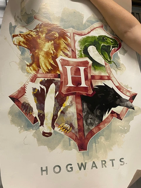 WIZARDING WORLD: HARRY Potter-Hogwarts Illustrated House Crests Wall ...