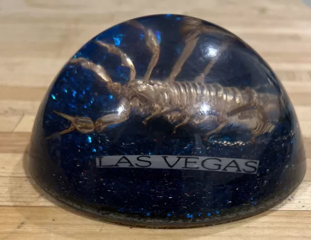 Vintage Real Scorpion Insect Lucite Acrylic Paperweight Law Vegas Nv
