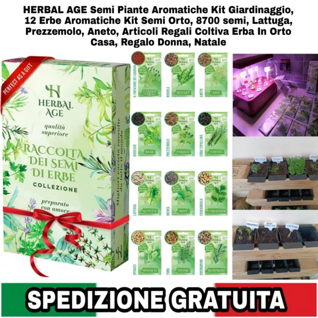 Semi Microgreens Piante Aromatiche Kit Giardinaggio, 12 Erbe Aromatiche Kit Semi