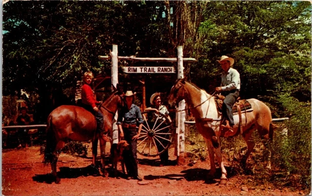 1950s Cowboy Horse Riders at Rim Trail Ranch Payson Arizona Vintage Postcard