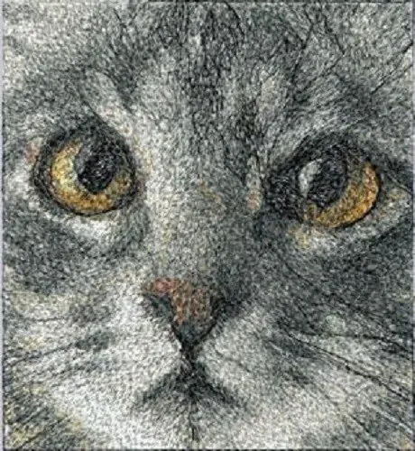 Embroidered Sweatshirt - Grey Cat Eyes AED16257 Sizes S - XXL