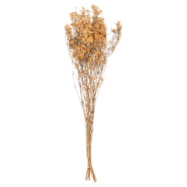 Hill Interiors  Planta Deshidratada Gypsophila (HI4173)