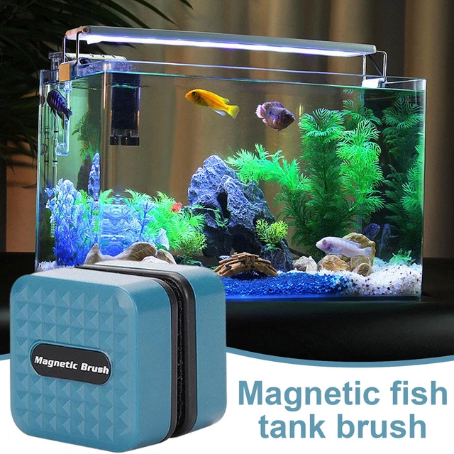 Aquarium Magnet Glass Cleaner Floating Magnet Algae Scraper Fish Tank Tool
