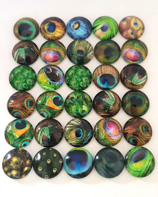 20 Peacock Feather Cabochons-12Mm-Glass/Flatback/Jewellery/Charm-Cabochon-Pretty