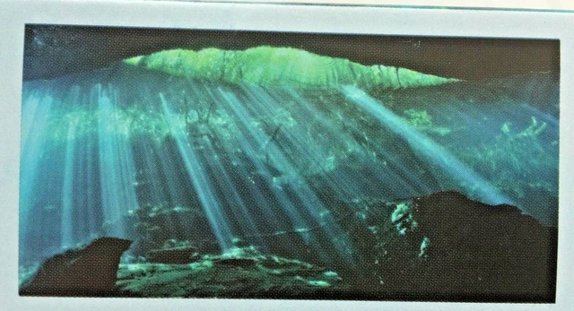 Top Fin Underwater Cave Static Aquarium/Fish Tank Cling, Large - 24" x 48"