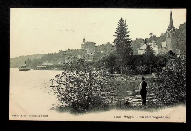 Weggis, Kanton Luzern, Schweiz, Lichtdruck-AK, gelaufen 1908 Deutschland