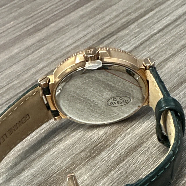 Christian Van Sant Men's Clepsydra Green Dial Watch - CV1705