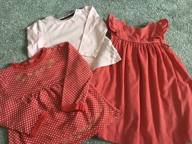 Baby Girl Clothes Bundle 9-12 Months Dress Long Sleeve Tops inc M&S
