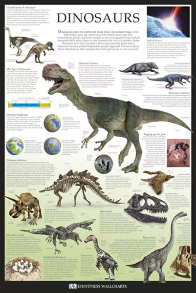 Dinosaurs Poster (61X91Cm) Educational Wall Chart Picture Print Dk Eyewitness