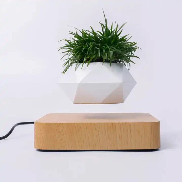 Hanging Magnetic Pot for Plants