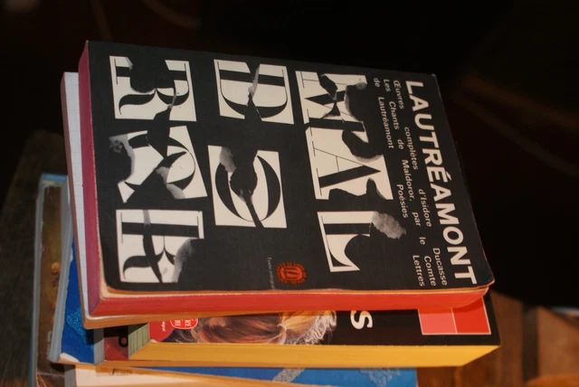 OEUVRES COMPLÈTES DE Lautreamont | Livre | état très bon EUR 5,36