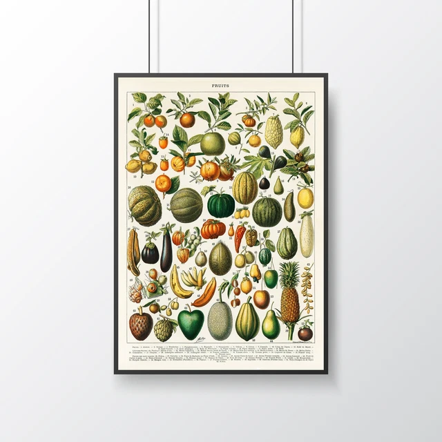 Fruits Poster - Adolphe Millot - Vintage Fruit Illustration - Print - Wall Art