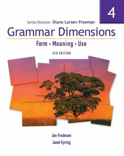GRAMMAR DIMENSIONS FORM Meaning Use Ser Grammar Dimensions Vol 4 