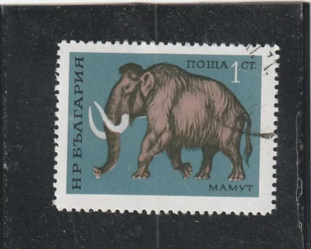 L5905 BULGARIE TIMBRE Y&T N° 1860 de 1971 " Elephas primigenius " Oblitéré