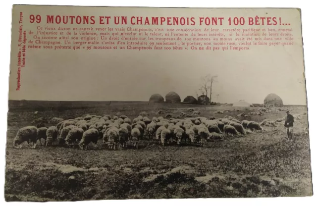 CPA - Région Champagne - 99 moutons et 1 Champenois font 100 Bêtes