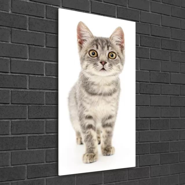Wand-Bild Kunstdruck aus Hart-Glas Hochformat 50x100 Graue Katze