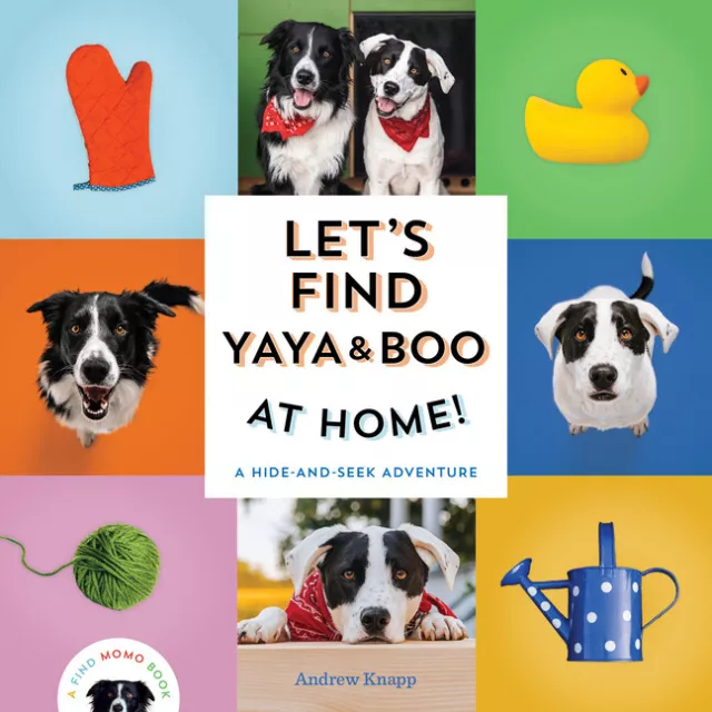 Lets Find Yaya And Boo At Home!: A Hide-And-Seek Adventure