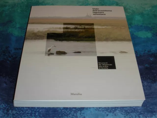 Stato Dell'ecosistema Lagunare Veneziano, Strumenti Del Magistrato Acque Venezia