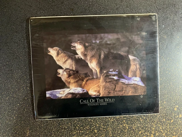 1995 - Northwest Publishing Corp. - Wolves - Sealed Print - 8 x 10 - Item#1333