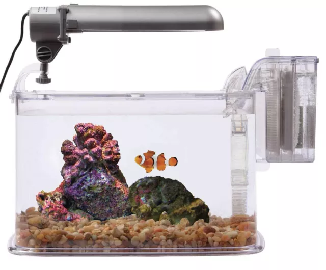 Tom Aquarium Kit Mini Deco Kit 2 Gallon Aquarium