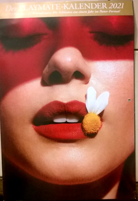 PLAYBOY +++ Playmate-Kalender 2021 +++ EUR 1,00 - PicClick DE