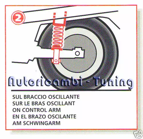 Molle Stabilizzatrici Di Carico Fiat Punto 188 Ii - Iii Dal 1999 Al 2005