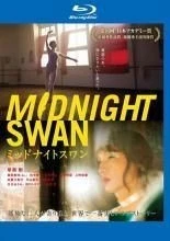 NEW MAP MIDNIGHT Swan SPECIAL BOX Used £116.71 - PicClick UK